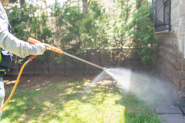 Best Pest Prevention Services  in Perry Park, CO